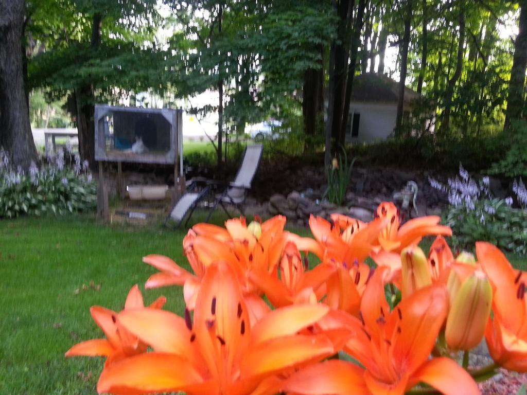 Kountry Living Bed And Breakfast Oneonta Luaran gambar