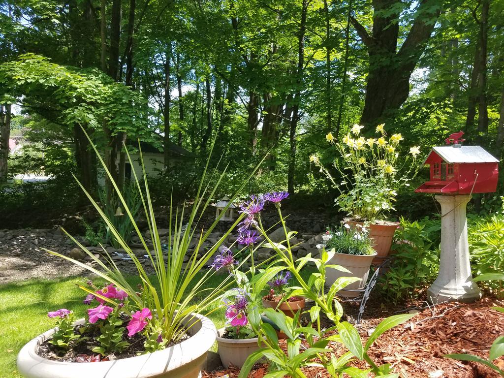 Kountry Living Bed And Breakfast Oneonta Luaran gambar